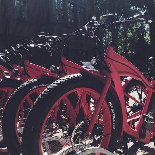 Elektrovelo noma logotips